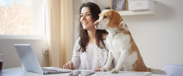 woman sitting at a desk with a dog